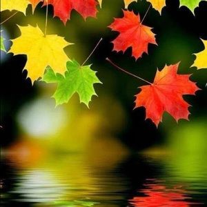 Meet your Posher, Colleen